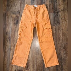 BDG skate cargo pants